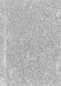 森の風景画（大人向け）