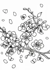 桜の塗り絵