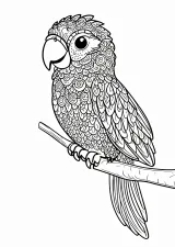 オウムの塗り絵