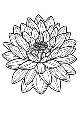 ダリアの塗り絵