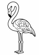 フラミンゴの塗り絵