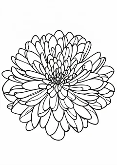 菊の塗り絵