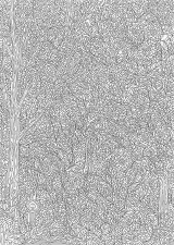 森の風景画（大人向け）