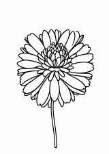 なでしこの花の塗り絵