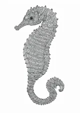 たつのおとしごの模様画（大人向け）