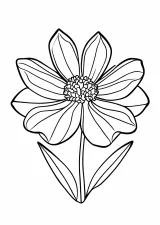 福寿草の塗り絵