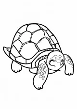 亀の塗り絵