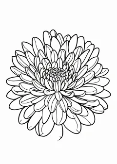 菊の塗り絵