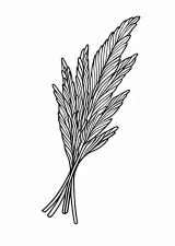 すすきの塗り絵