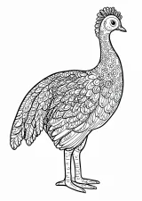 雉の塗り絵