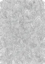 ペイズリー模様の塗り絵（大人向け）