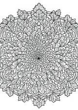 秋の花マンダラの塗り絵（こまかい）