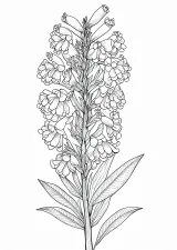竜胆の植物画