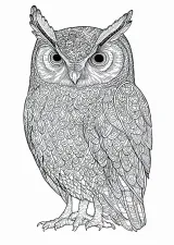 ふくろうの模様画（大人向け）