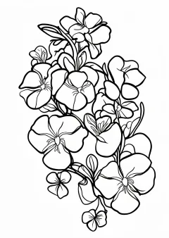 朝顔の塗り絵