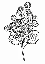 萩の花の塗り絵