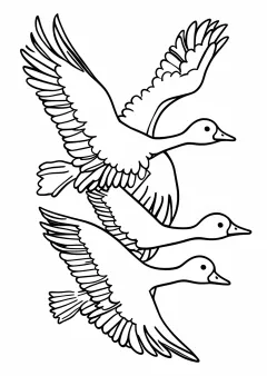 雁の塗り絵