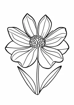 福寿草の塗り絵