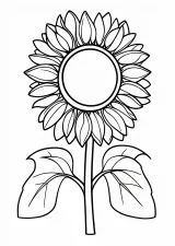 ひまわりの塗り絵