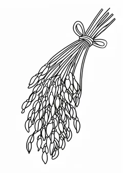 稲穂の塗り絵