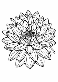 ダリアの塗り絵