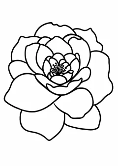 さざんかの塗り絵
