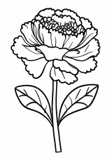 カーネーションの塗り絵