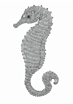 たつのおとしごの模様画（大人向け）