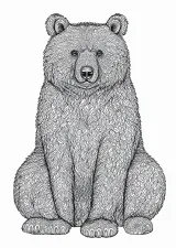 熊の模様画（大人向け）