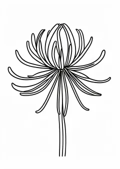 彼岸花の塗り絵