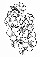 朝顔の塗り絵