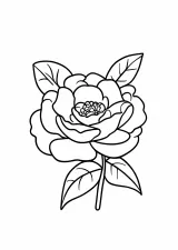 椿の花の塗り絵