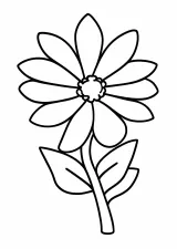コスモスの塗り絵