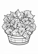 もみじといちょうの落ち葉かごの塗り絵