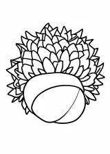 栗（いが栗）の塗り絵