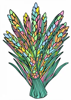 正月飾りの塗り絵（見本）