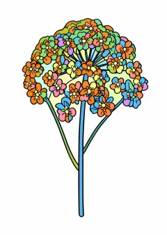 女郎花の塗り絵（見本）